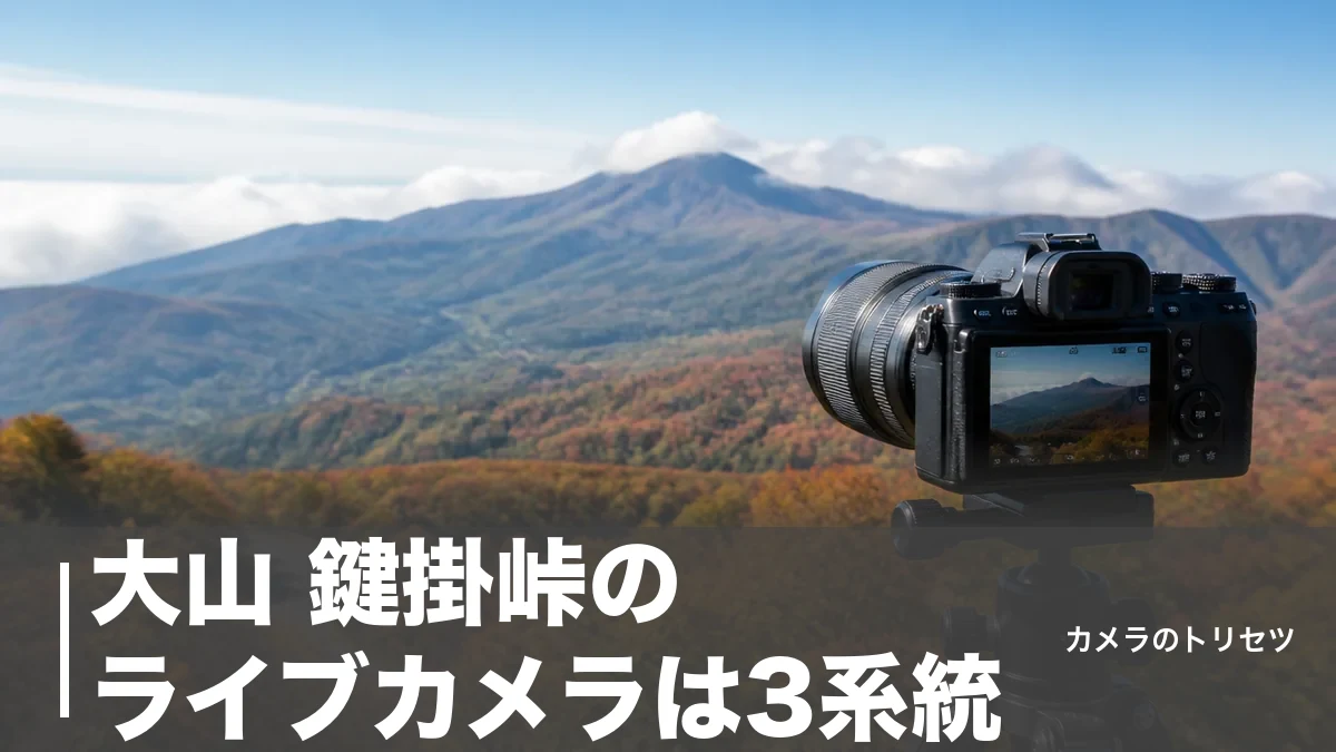 大山 鍵掛峠のライブカメラは3系統|紅葉の色づきと道路状況を確認する全手順のアイキャッチ画像