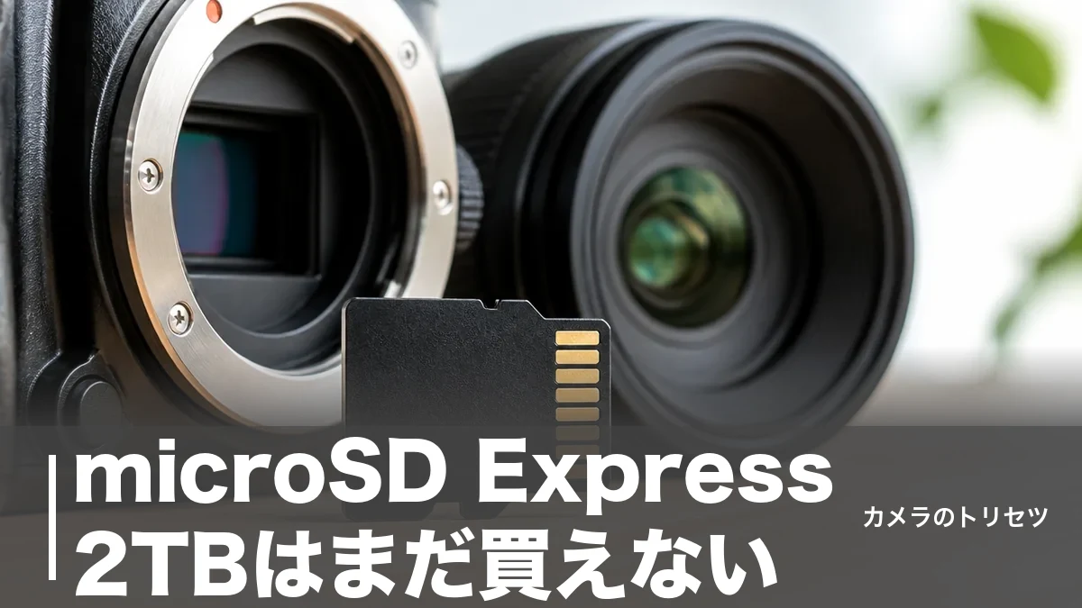 microSD Express 2TBはまだ買えない｜現状最大1TBと2TBの代替策を解説のアイキャッチ画像