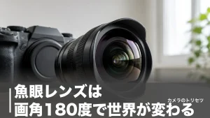 魚眼レンズは画角180度で世界が変わる｜対角・円周の違いと現行6本を価格で徹底比較のアイキャッチ画像