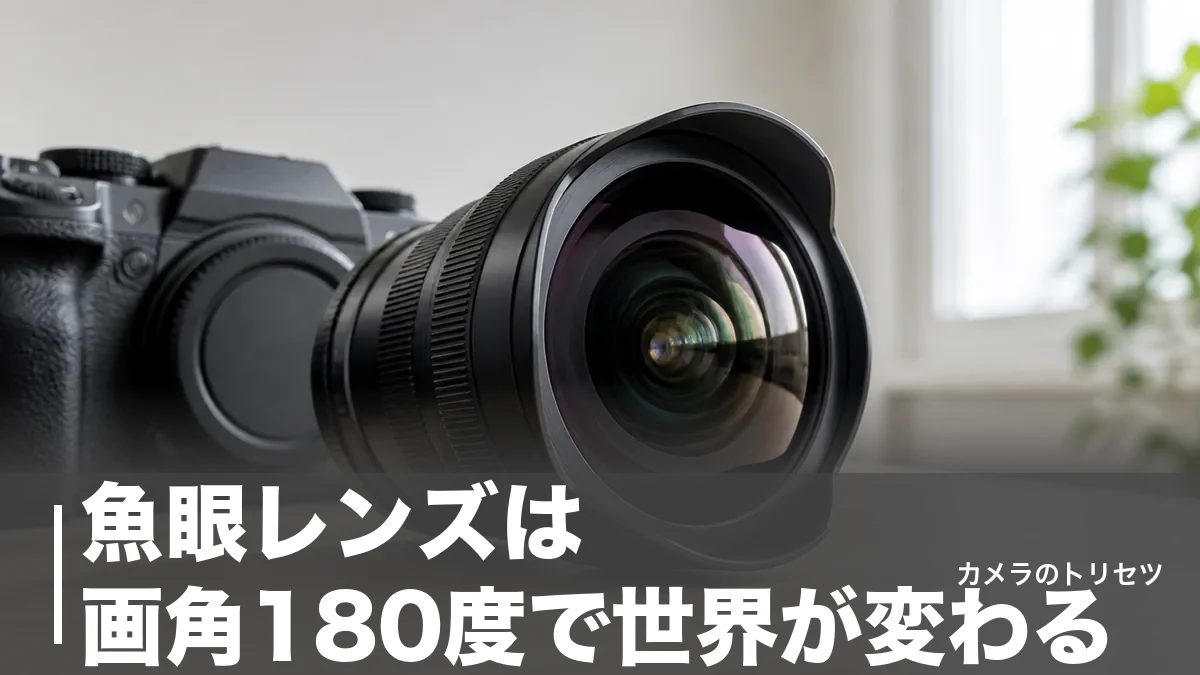魚眼レンズは画角180度で世界が変わる｜対角・円周の違いと現行6本を価格で徹底比較のアイキャッチ画像