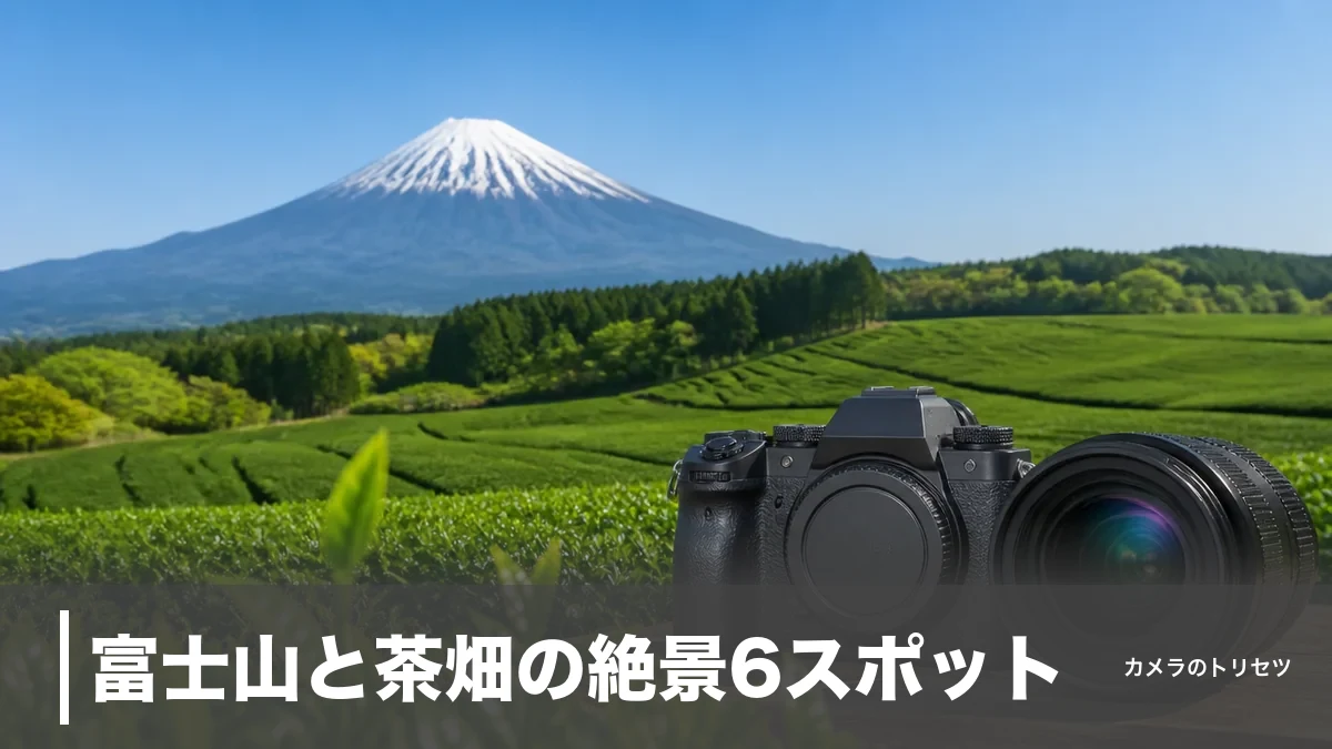 富士山と茶畑の絶景6スポット｜新茶の見頃・撮影設定・アクセスを完全ガイドのアイキャッチ画像