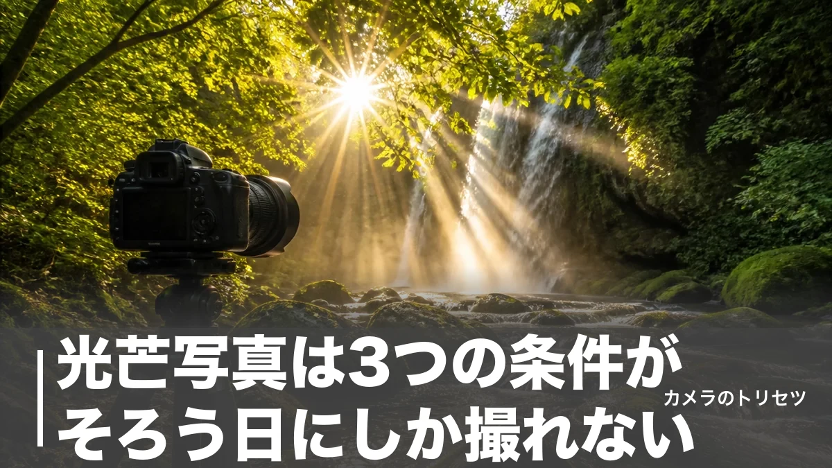 光芒写真は3つの条件がそろう日にしか撮れない｜F値・時間帯・場所の正解を数値で解説のアイキャッチ画像