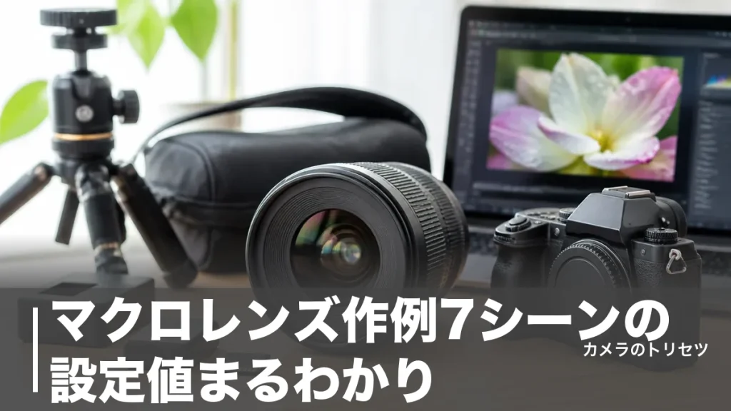 マクロレンズ作例7シーンの設定値まるわかり｜F値・撮影倍率・レンズ選びの正解のアイキャッチ画像